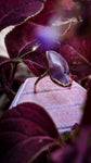 Amethyst Ring - Size 7