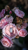 Rose Quartz Ring - Size 8