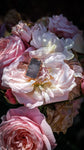 Rose Quartz Ring - Size 8