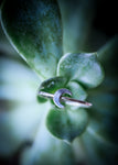 Mini Moon Ring
